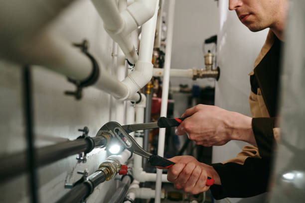 Best Plumbing Inspection Services  in Madison, IL