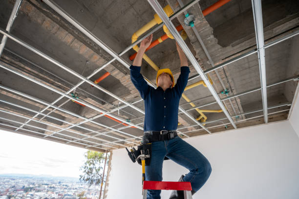 Best Residential Plumbing Services  in Madison, IL