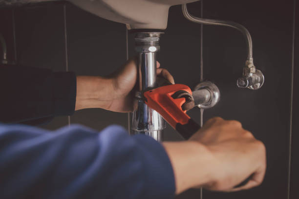 Best Clogged Drain Plumber  in Madison, IL